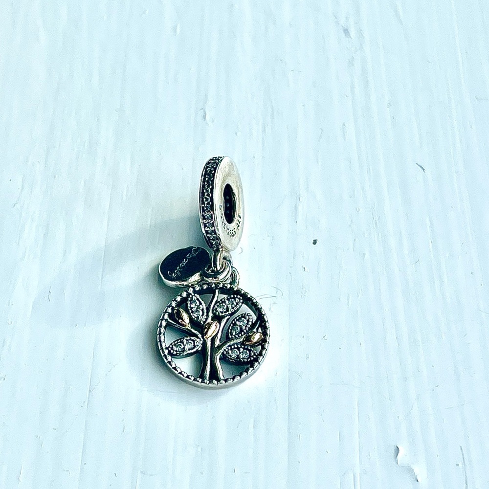 Authentic PANDORA charm